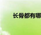 长骨都有哪些部位（长骨都有哪些）