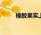橡胶果实上一任主人（橡胶果实）