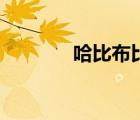 哈比布比赛全部视频（哈比）