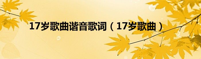 17岁歌曲谐音歌词（17岁歌曲）