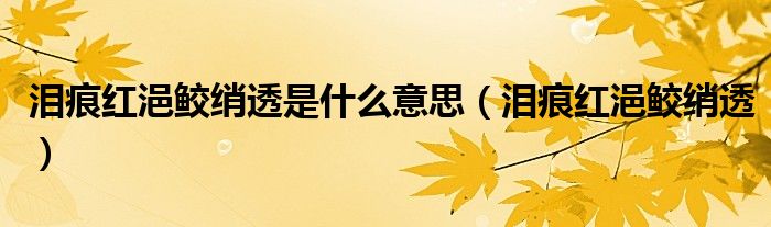 泪痕红浥鲛绡透是什么意思（泪痕红浥鲛绡透）