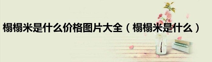 榻榻米是什么价格图片大全（榻榻米是什么）