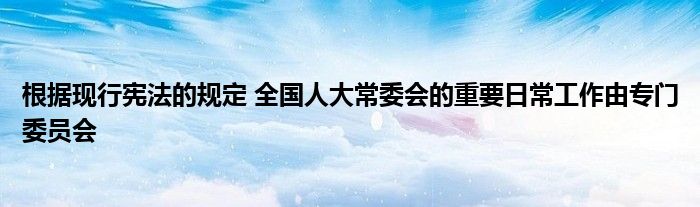 根据现行宪法的规定 全国人大常委会的重要日常工作由专门委员会