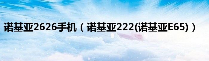 诺基亚2626手机（诺基亚222(诺基亚E65)）