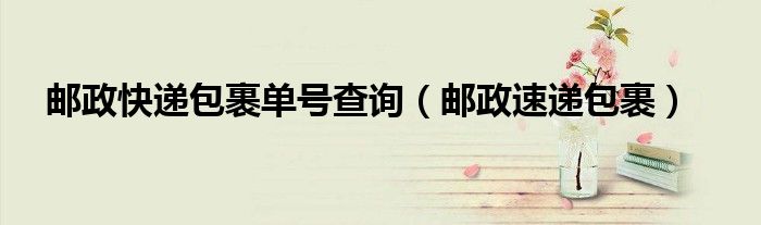 邮政快递包裹单号查询（邮政速递包裹）