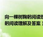 向一棵树鞠躬阅读理解及答案最后一段的作用（向一棵树鞠躬阅读理解及答案）