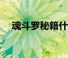 魂斗罗秘籍什么时候输入（魂斗罗秘籍）