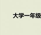 大学一年级个人总结（大学一年级）