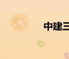 中建三局总承包公司官网