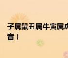 子属鼠丑属牛寅属虎卯属兔（子鼠丑牛寅虎卯兔十二生肖读音）