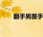 翻手男覆手女作者（翻手男覆手女）