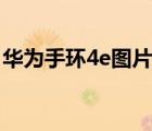 华为手环4e图片（华为手环4e(华为4e手环)）