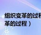 组织变革的过程包括哪几个阶段（简述组织变革的过程）