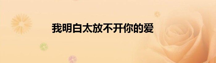 我明白太放不开你的爱