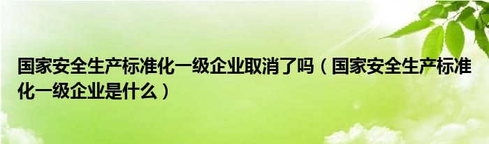 国家安全生产标准化一级企业取消了吗（国家安全生产标准化一级企业是什么）