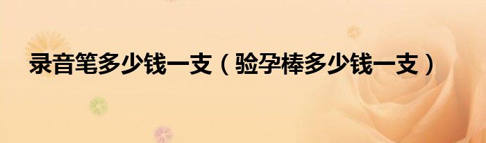 录音笔多少钱一支（验孕棒多少钱一支）
