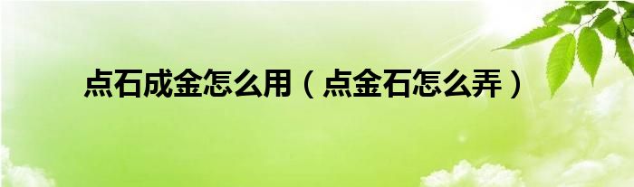 点石成金怎么用（点金石怎么弄）