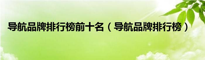 导航品牌排行榜前十名（导航品牌排行榜）