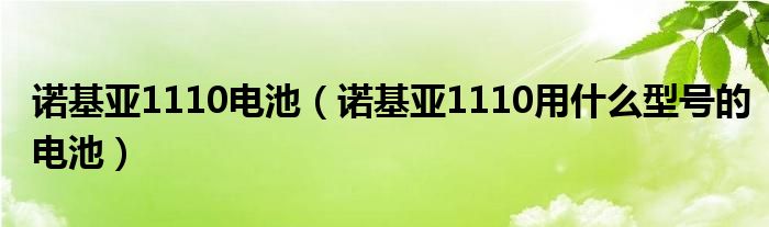 诺基亚1110电池（诺基亚1110用什么型号的电池）