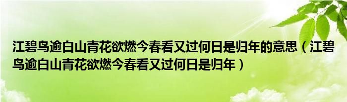 江碧鸟逾白山青花欲燃今春看又过何日是归年的意思（江碧鸟逾白山青花欲燃今春看又过何日是归年）