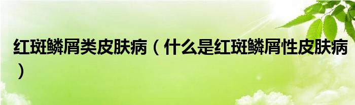 红斑鳞屑类皮肤病（什么是红斑鳞屑性皮肤病）