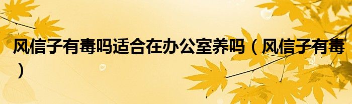 风信子有毒吗适合在办公室养吗（风信子有毒）