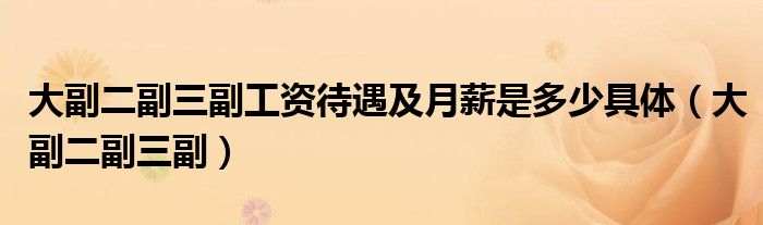 大副二副三副工资待遇及月薪是多少具体（大副二副三副）