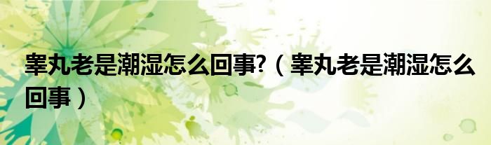 睾丸老是潮湿怎么回事?（睾丸老是潮湿怎么回事）