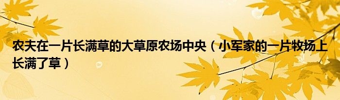 农夫在一片长满草的大草原农场中央（小军家的一片牧场上长满了草）