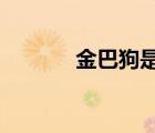 金巴狗是什么样的?（金巴狗）