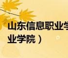 山东信息职业学院怎么样好不好（山东信息职业学院）