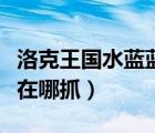 洛克王国水蓝蓝在哪抓视屏（洛克王国水蓝蓝在哪抓）