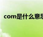 com是什么意思网络语（com是什么意思）