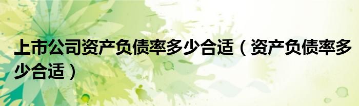 上市公司资产负债率多少合适（资产负债率多少合适）
