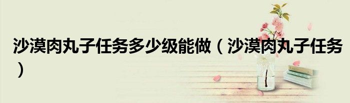 沙漠肉丸子任务多少级能做（沙漠肉丸子任务）