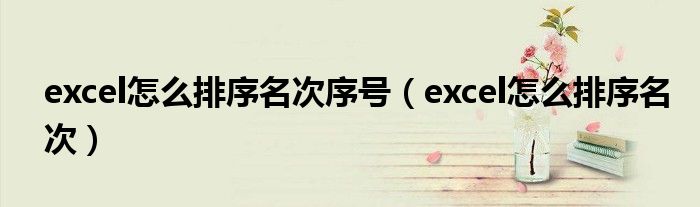 excel怎么排序名次序号（excel怎么排序名次）