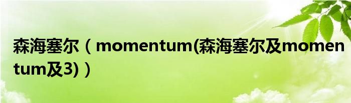 森海塞尔（momentum(森海塞尔及momentum及3)）