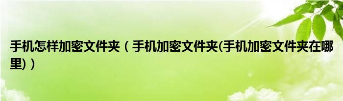 手机怎样加密文件夹（手机加密文件夹(手机加密文件夹在哪里)）