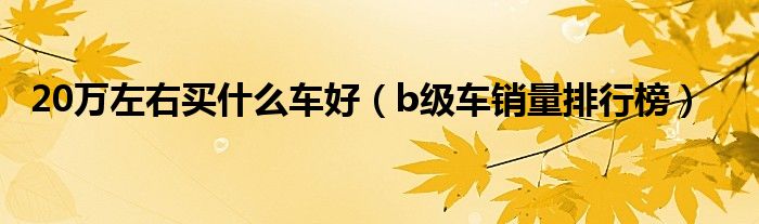 20万左右买什么车好（b级车销量排行榜）