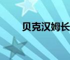 贝克汉姆长子老婆（贝克汉姆老婆）