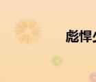 彪悍少年2（彪悍少年）