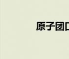 原子团口诀（原子团是什么）