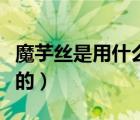 魔芋丝是用什么做成的（魔芋丝是什么材料做的）