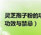 灵芝孢子粉的功效与作用及禁忌（柠檬姜茶的功效与禁忌）