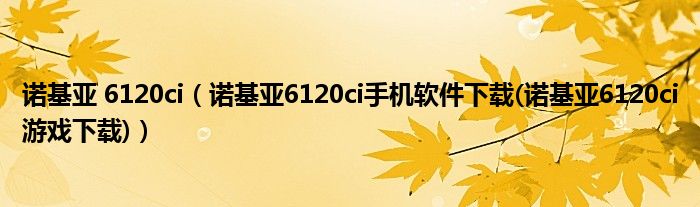 诺基亚 6120ci（诺基亚6120ci手机软件下载(诺基亚6120ci游戏下载)）