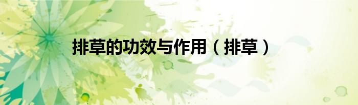排草的功效与作用（排草）