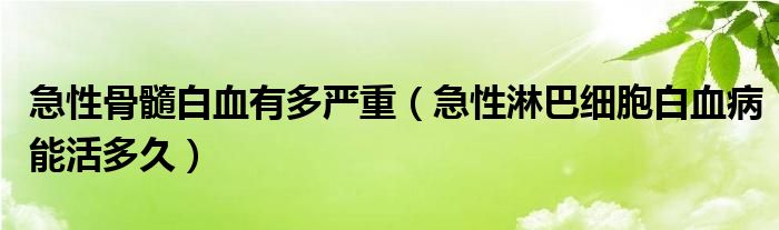 急性骨髓白血有多严重（急性淋巴细胞白血病能活多久）