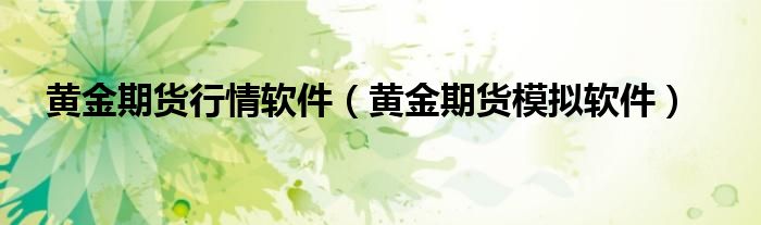 黄金期货行情软件（黄金期货模拟软件）