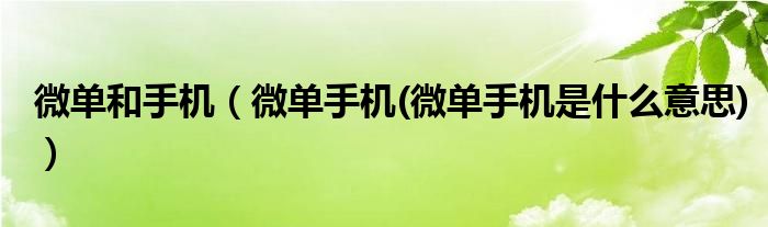 微单和手机（微单手机(微单手机是什么意思)）