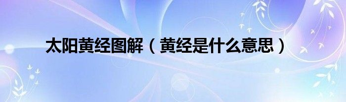 太阳黄经图解（黄经是什么意思）